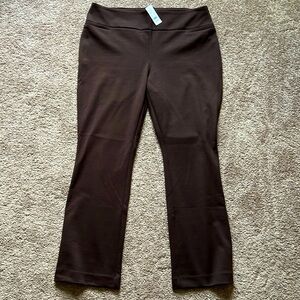 New York and Company pull up pants